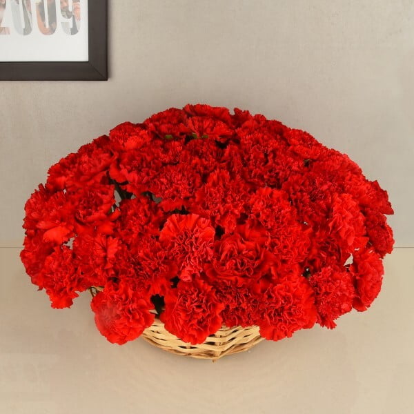 Love of Carnations