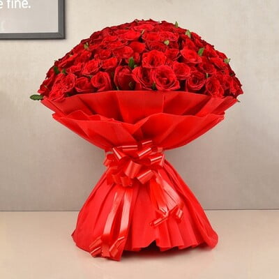 Sizzling Red Roses