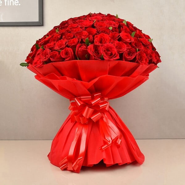 Sizzling Red Roses