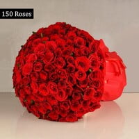 Sizzling Red Roses
