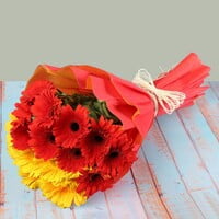 Sunshine Gerberas Sunshine Gerberas