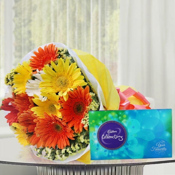Gerbera Surprise Gerbera Surprise