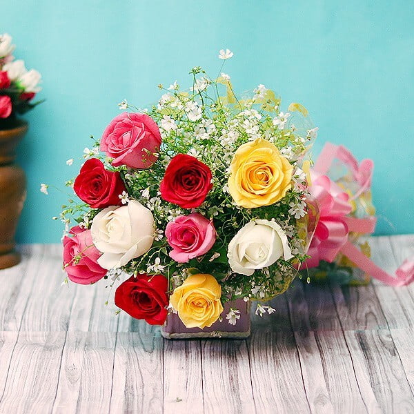 Colorful Roses Colorful Roses