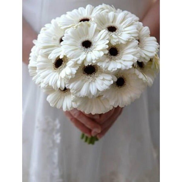 12 White Gerberas