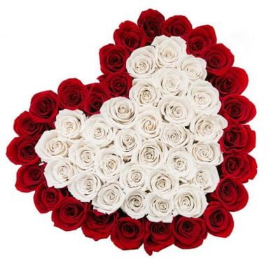 50 Heart shape white and red roses