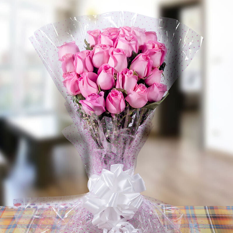 First Step Blooming Pink Roses First Step Blooming Pink Roses