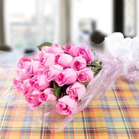 First Step Blooming Pink Roses First Step Blooming Pink Roses