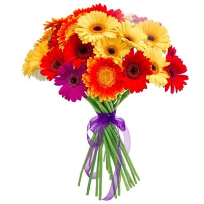 Expressive Gerberas