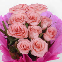 Pink Roses In Pink Packing
