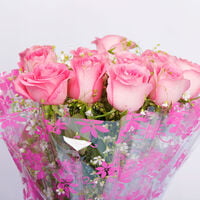 12 Pink Roses Bouquet