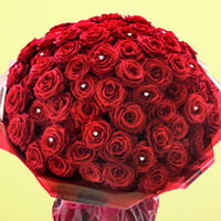 For Someone Special Red Roses In Red Packing