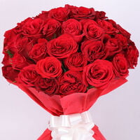 For Someone Special Red Roses In Red Packing For Someone Special Red Roses In Red Packing
