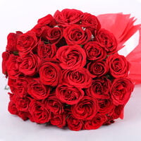 For Someone Special Red Roses In Red Packing For Someone Special Red Roses In Red Packing