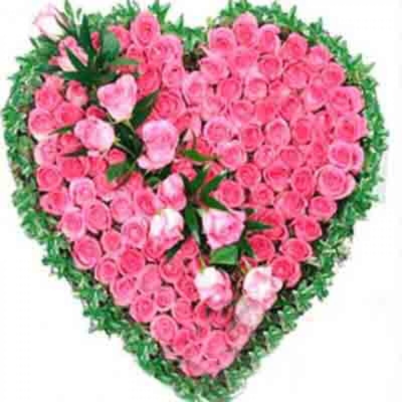 Heart of 100 pink roses