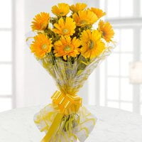 Happy To Felicitate Happy To Felicitate