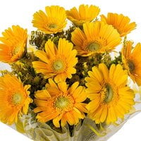 Happy To Felicitate Happy To Felicitate