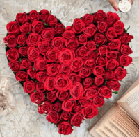 Premium Hearty Red Rose Flower