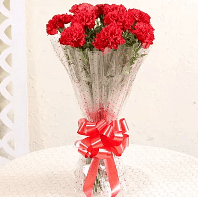 10 Elegant Red Carnations Bouquet