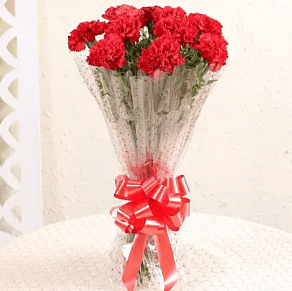 10 Elegant Red Carnations Bouquet 10 Elegant Red Carnations Bouquet