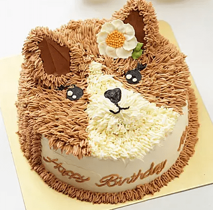 Sweet Cat Design Cake- Chocolate 1 Kg