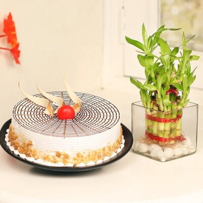 Lucky Bamboo And Butterscotch Cake