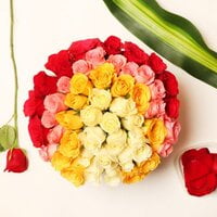 Mixed Expressions Of Love Mixed Expressions Of Love
