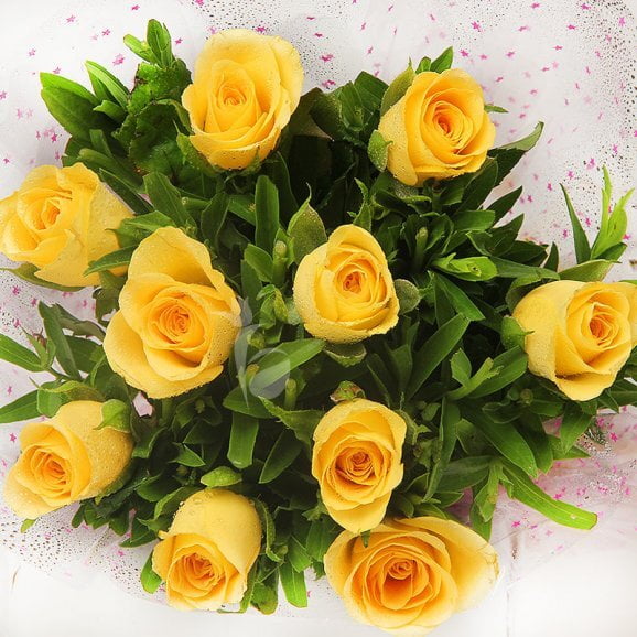 Sun-kissed Yellow Roses