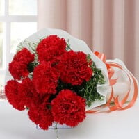Red Blossom Red Blossom