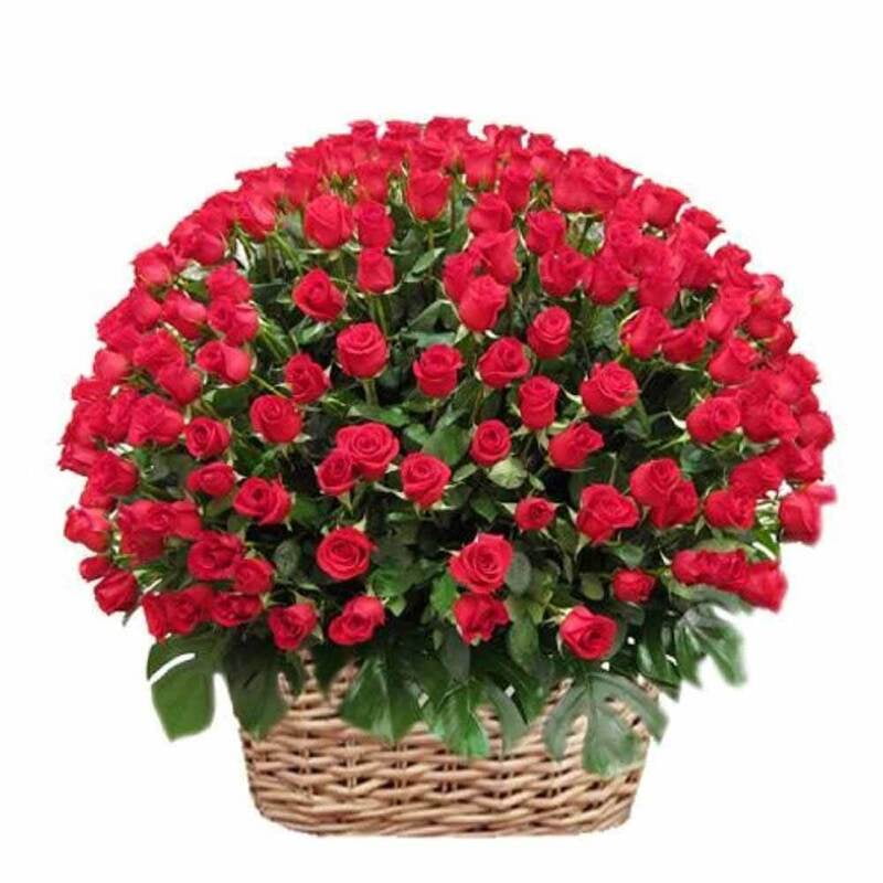 Basket of 100 Red Roses